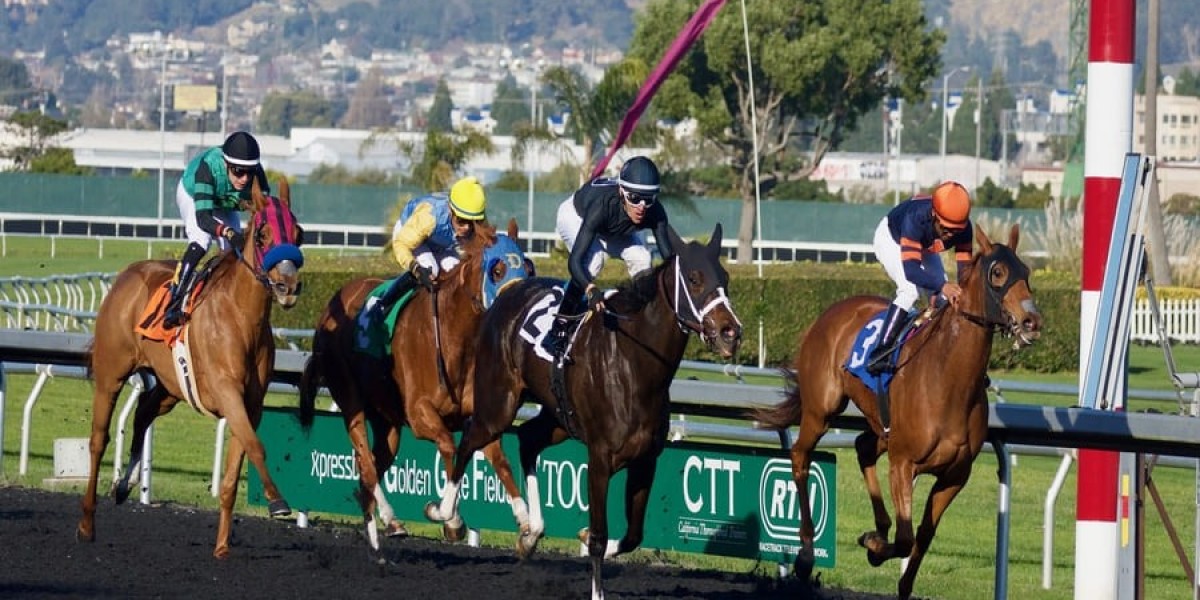 Ultimate Guide to Gambling Sites